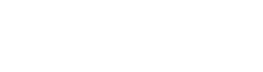 AI True Score